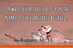 Romans 10:13 Bible Quote