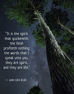 The Spirit Gives Life